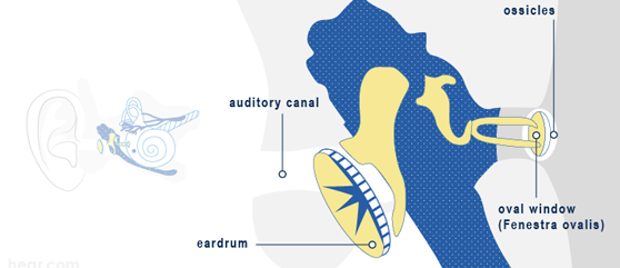 hearing-aids-hearing-loss-hearing-needs-hear-test-tinnitus-prices-sri-lanka