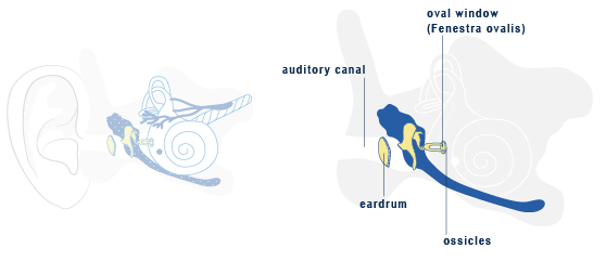 hearing-aids-hearing-loss-hearing-needs-hear-test-tinnitus-prices-sri-lanka